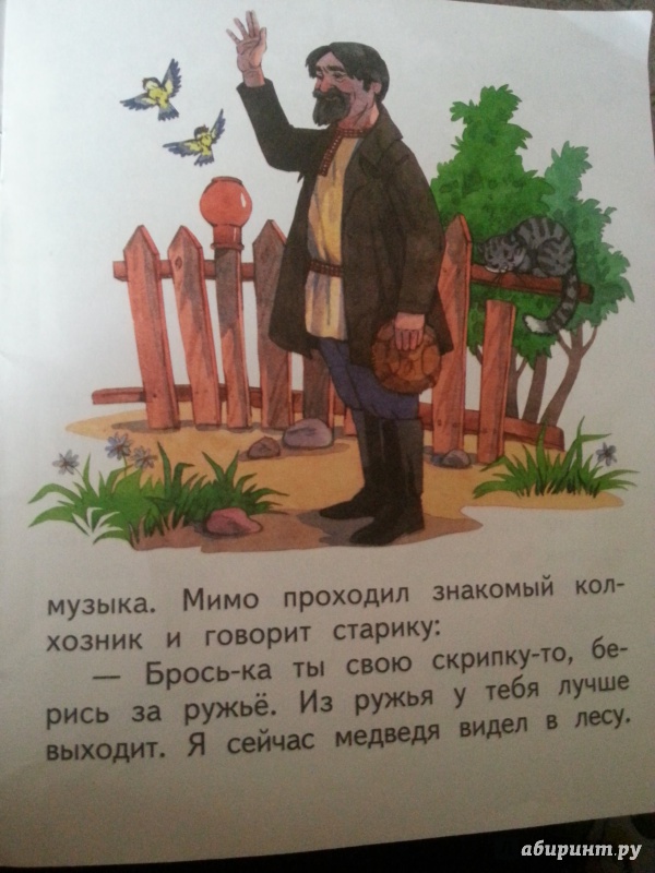 Краткое содержание книги томпсона «рассказы о животных» для читательского дневника