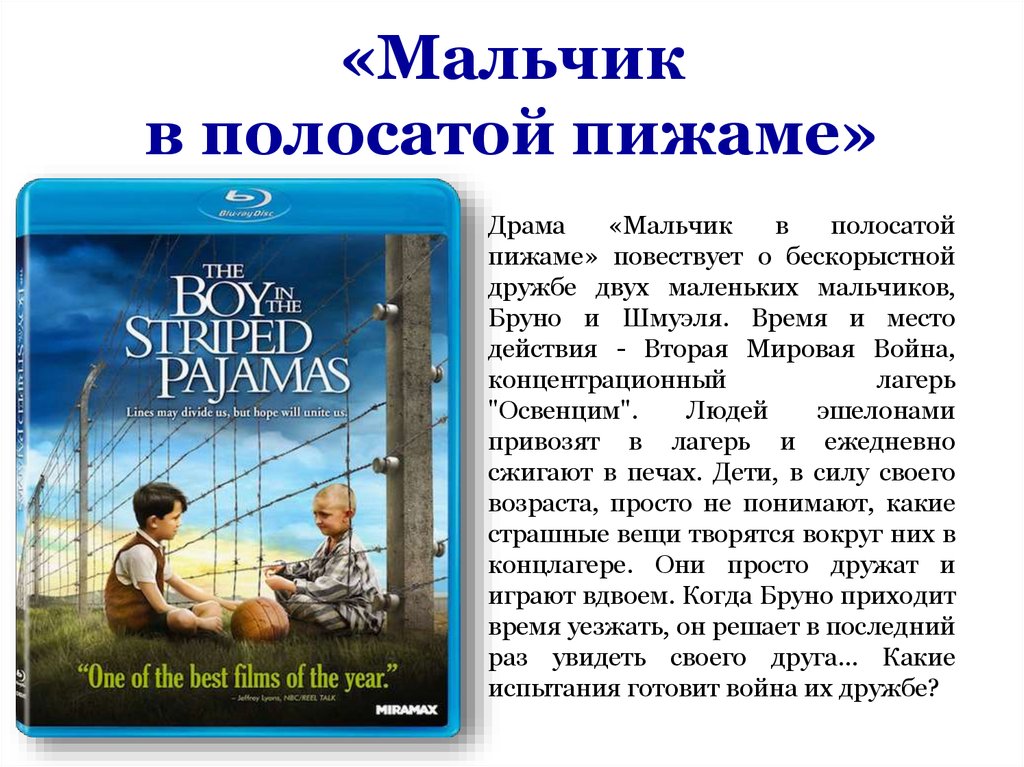 "мальчик в полосатой пижаме" ? краткое содержание романа джона бойна