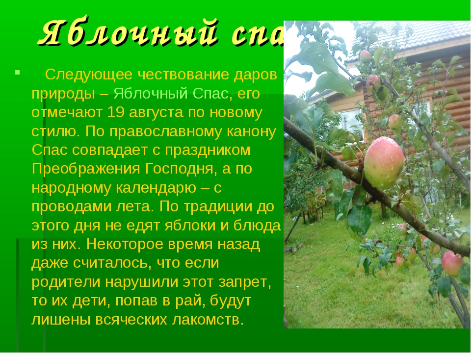 Носов яблочный спас краткое содержание тема идея план