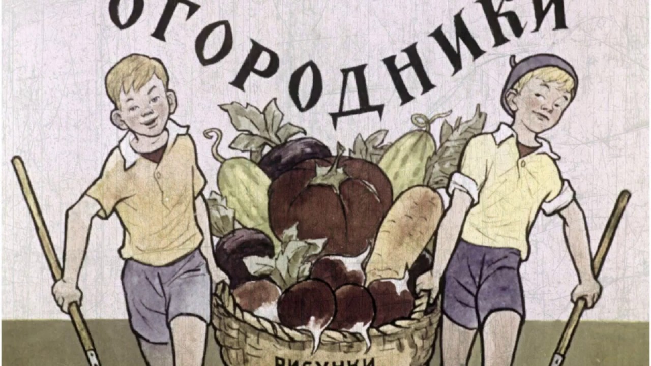 Рассказ огородники носов краткое содержание. рассказ огородники - носов н.н