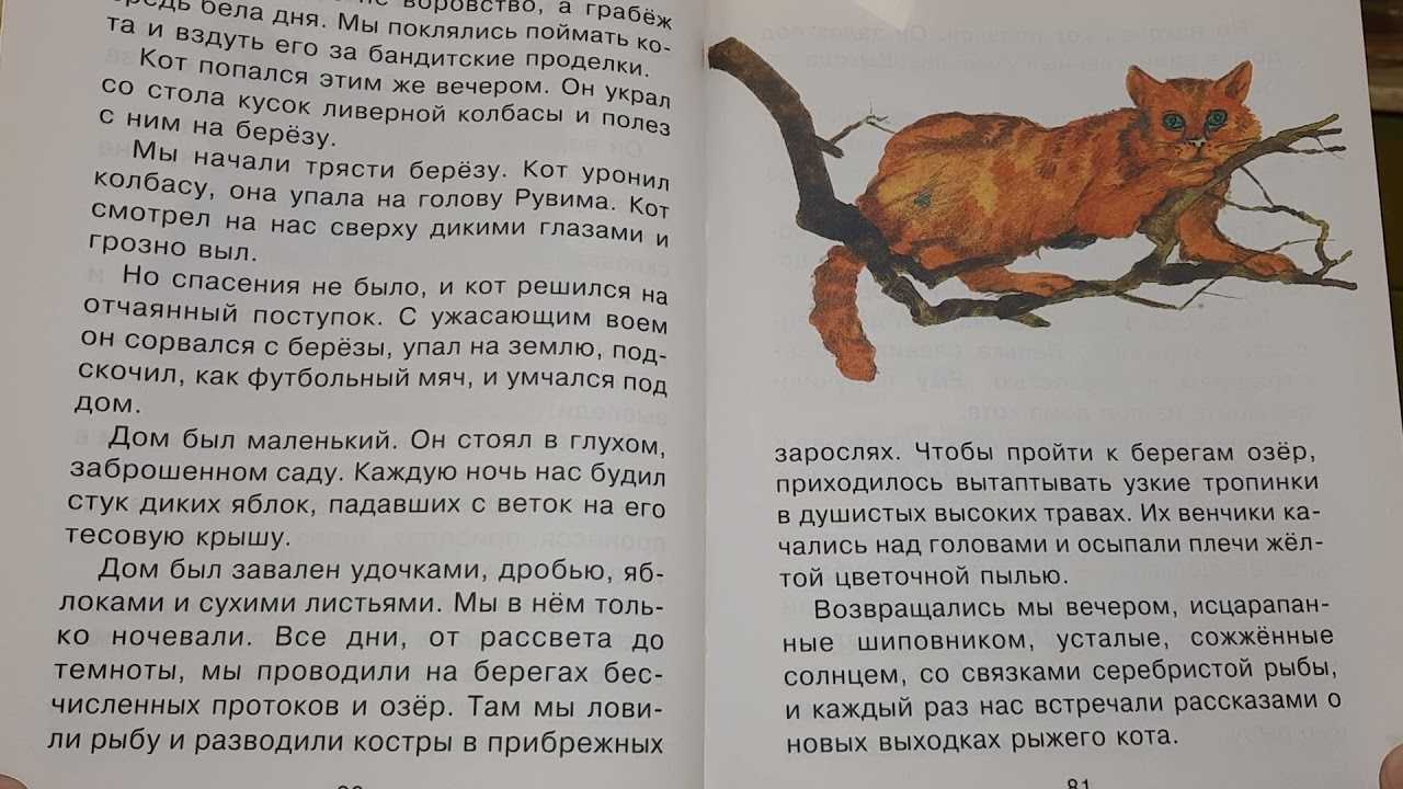 Константин паустовский рассказ кот ворюга читательский дневник