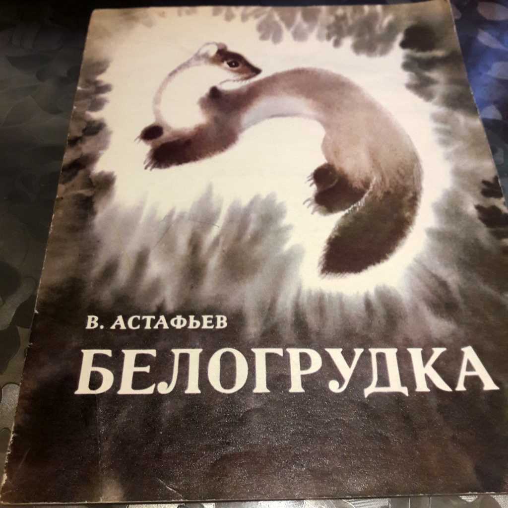 Краткое содержание астафьев белогрудка для читательского дневника