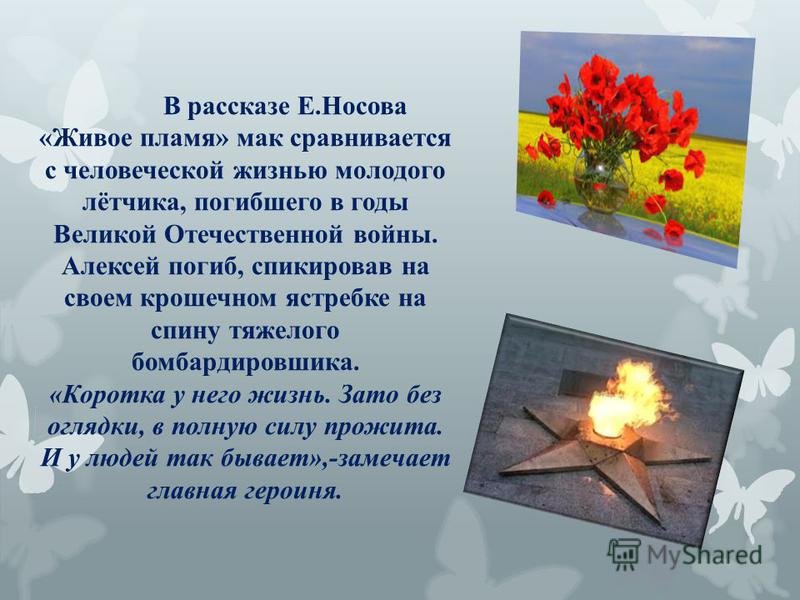 «живое пламя» краткое содержание рассказа носова – читать пересказ онлайн