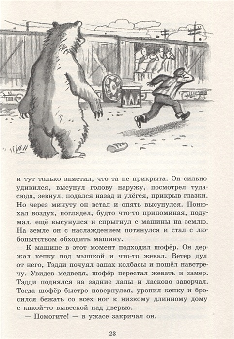 Сочинение по рассказу белогрудка астафьев