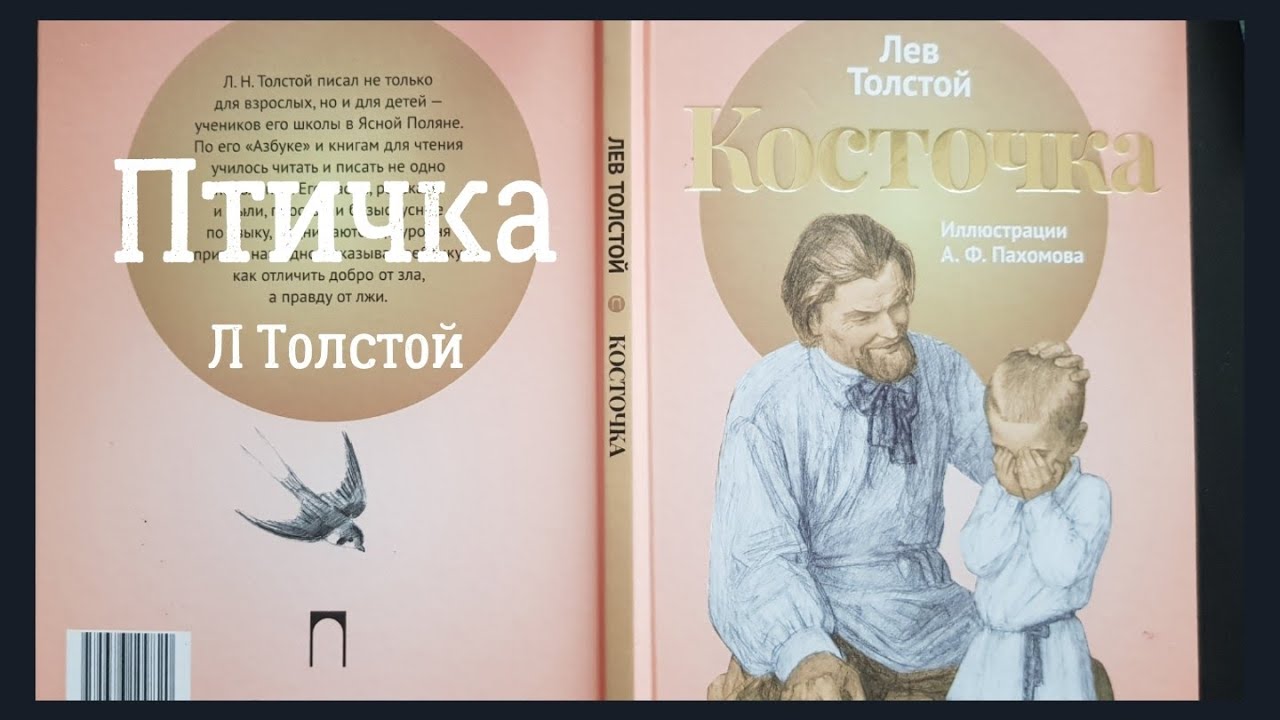 Роман "птичка" льва толстого - краткое содержание, главная мысль, главные герои