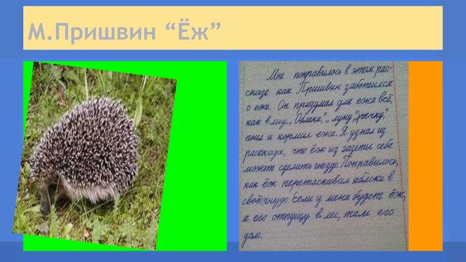Читательский дневник по рассказу «ёж» михаила пришвина