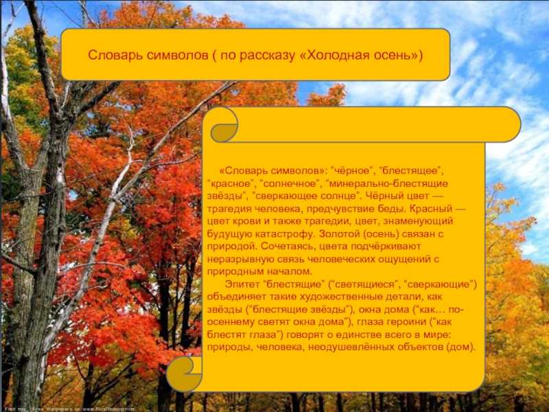 Смысл рассказа холодная осень бунина