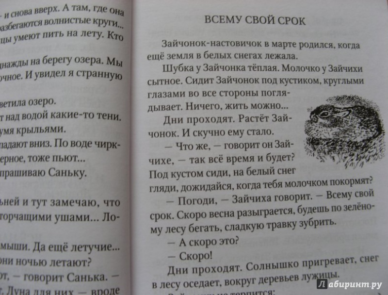 Эдуард шим ★ приключения зайца читать книгу онлайн бесплатно