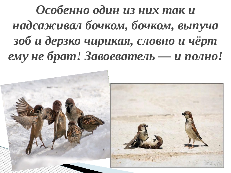 Иван тургенев - мы ещё повоюем: читать стих, текст стихотворения полностью - классика на рустих