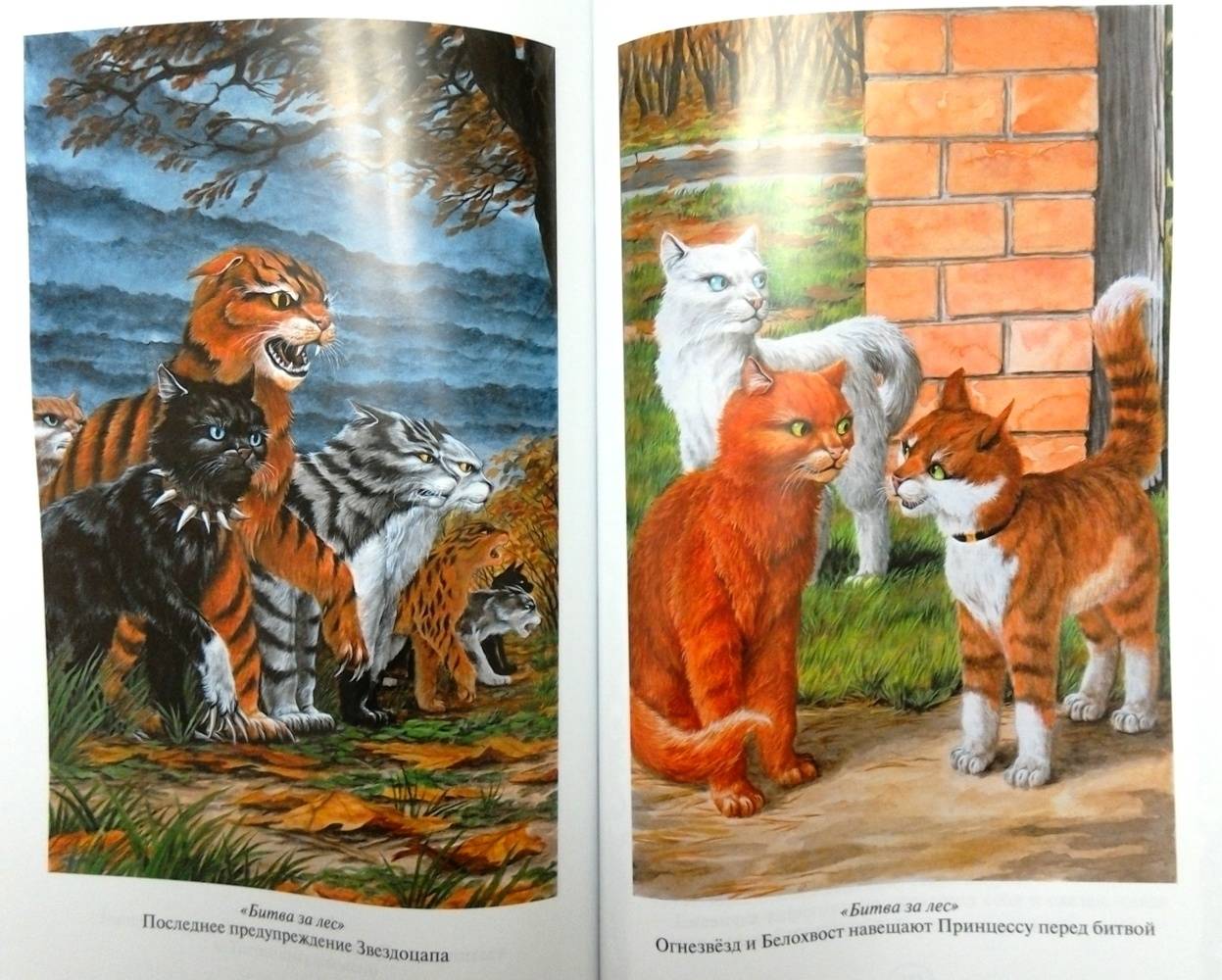 Книга стань диким! читать онлайн эрин хантер