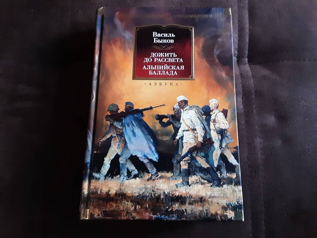 Для сердца и разума: «просто был выбор у каждого…» «дожить до рассвета» в быкова в читательском марафоне «отличная книга»