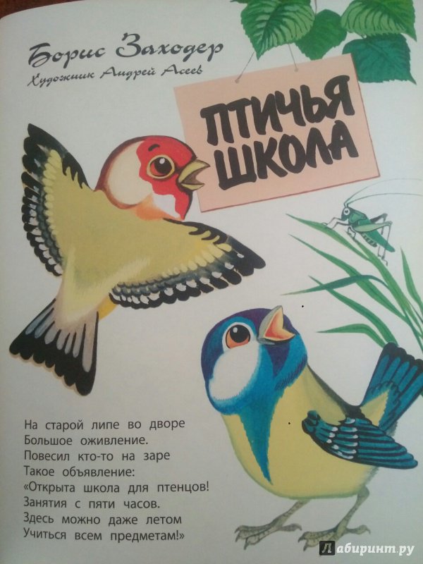 Читательский дневник «птичья школа» б.в. заходер.