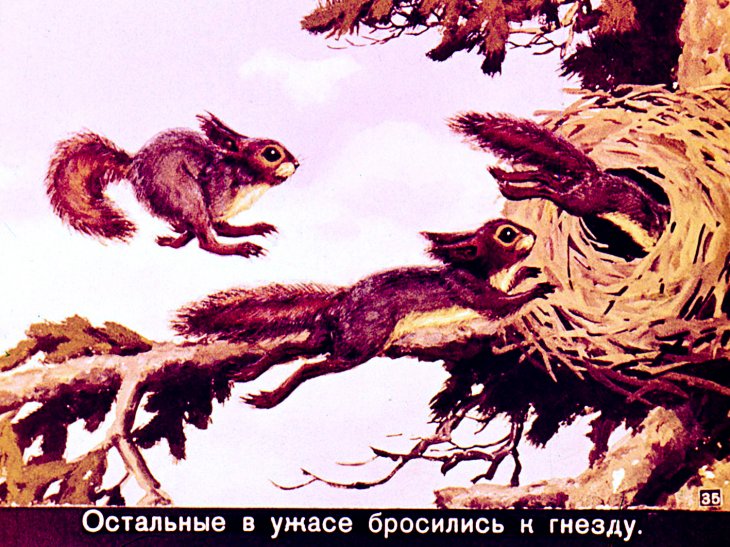 Краткое содержание рассказа белочка-хлопотунья для читателей дневника