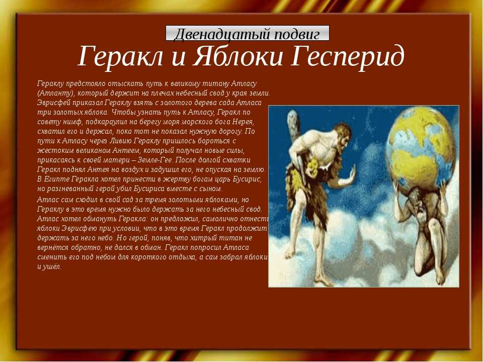 "12 подвиг геракла - яблоки гесперид": топ-7 лучших сочинений 2023 года!