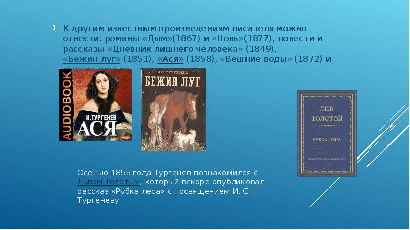 Повесть ивана сергеевича тургенева «дневник лишнего человека»: краткое содержание, сюжет, герои произведения