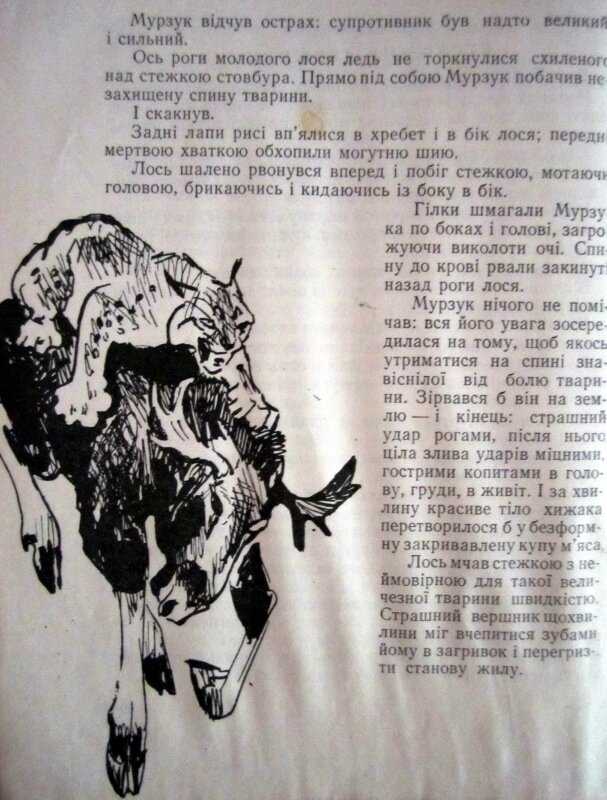 Краткое содержание бианки мурзук для читательского дневника, читать краткий пересказ онлайн