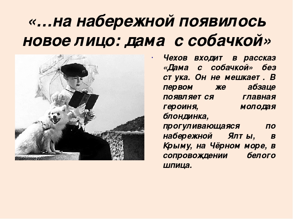 Краткое содержание рассказа дама с собачкой чехова для читательского дневника