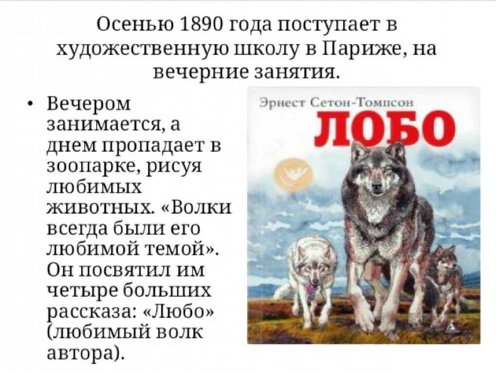 Главная мысль рассказа чинк сетон томпсон. чтение и анализ третьей части рассказа э