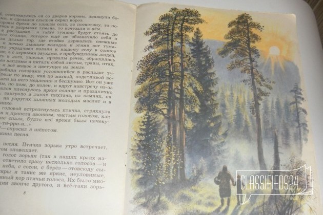Весенний остров - краткое содержание рассказа в.п. астафьева – читать онлайн