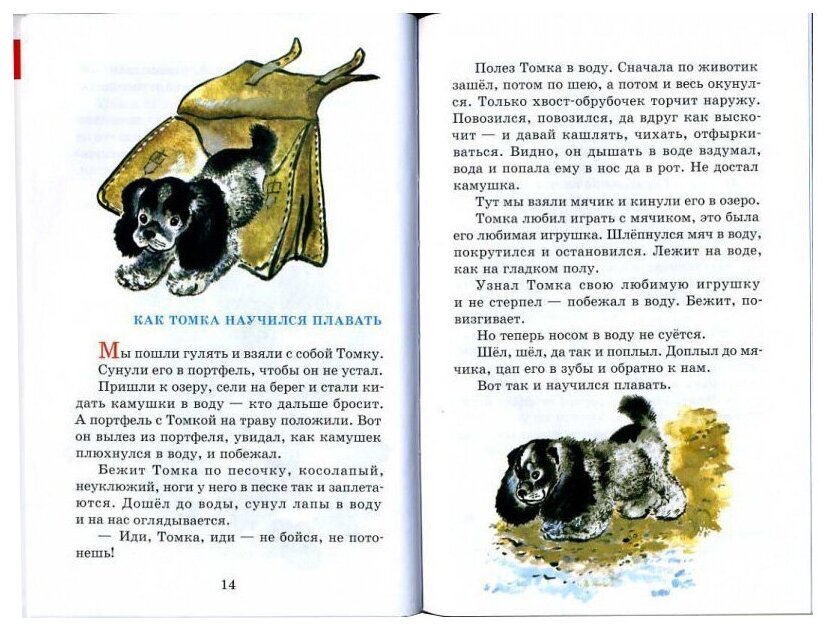 Как правильно составить план к рассказу кабан чарушина: эффективные методы и советы