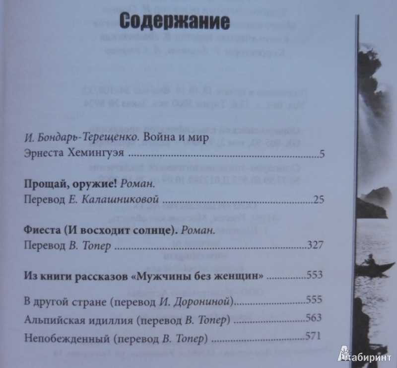 «кошка под дождем» э. хемингуэя: краткое содержание и личный отзыв для читательского дневника