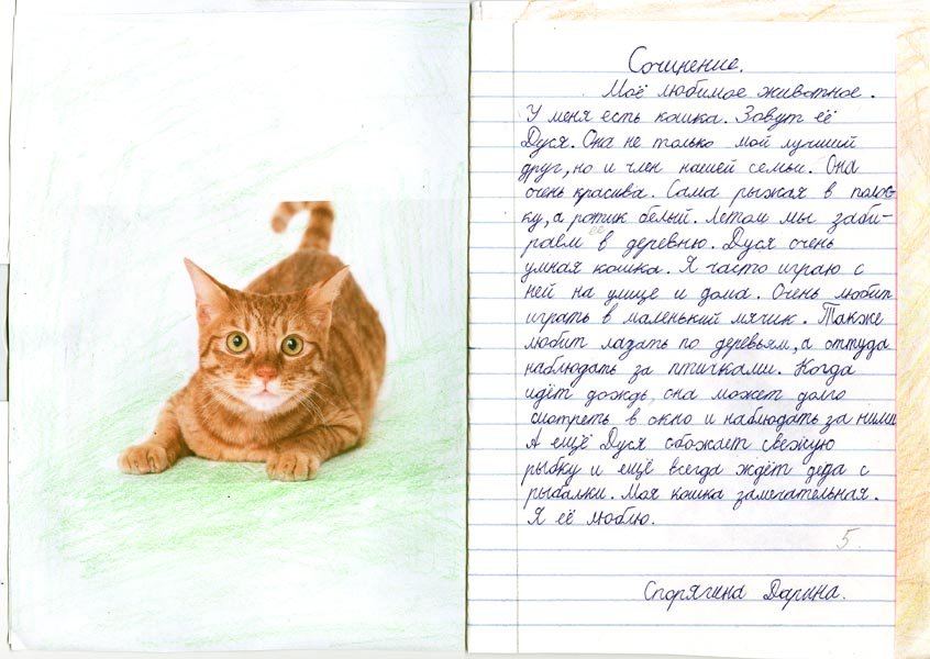 Сочинение мой любимый домашний питомец - лучшие сочинения