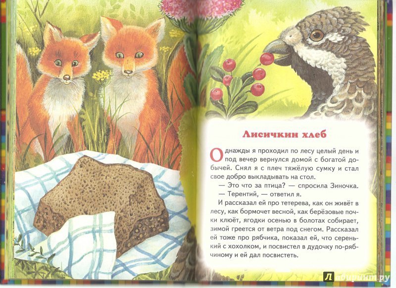 «лисичкин хлеб» читательский дневник