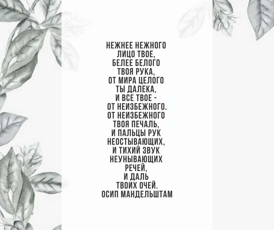 Нежнее нежного лицо твое белее. идейно-художественный анализ стихотворения осипа мандельштама «нежнее нежного