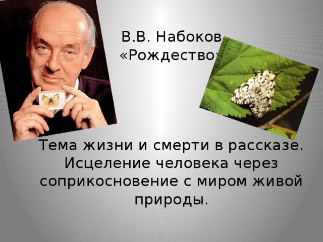 Сочинение анализ рассказа набокова рождество