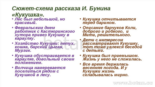 Анализ рассказа кукушка бунина 7 класс