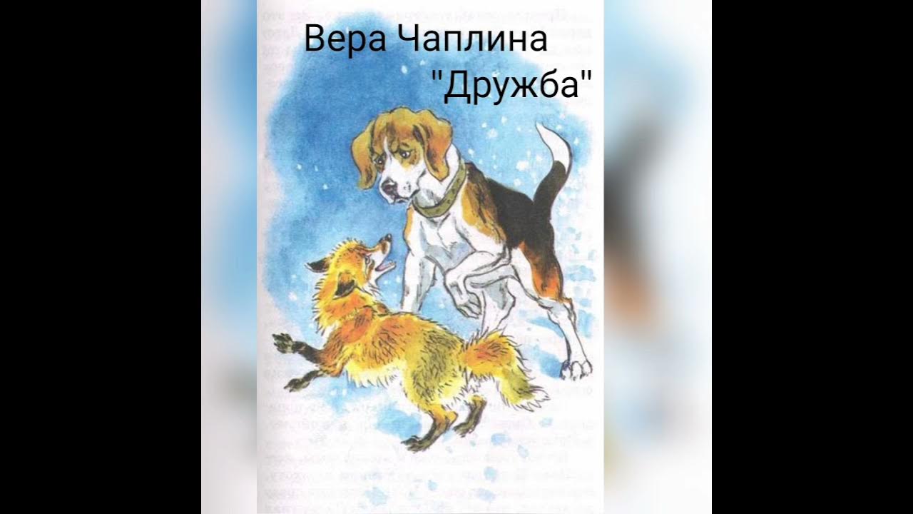 Куприн белый пудель главная мысль. сочинение на тему: дружба в рассказе белый пудель, куприн