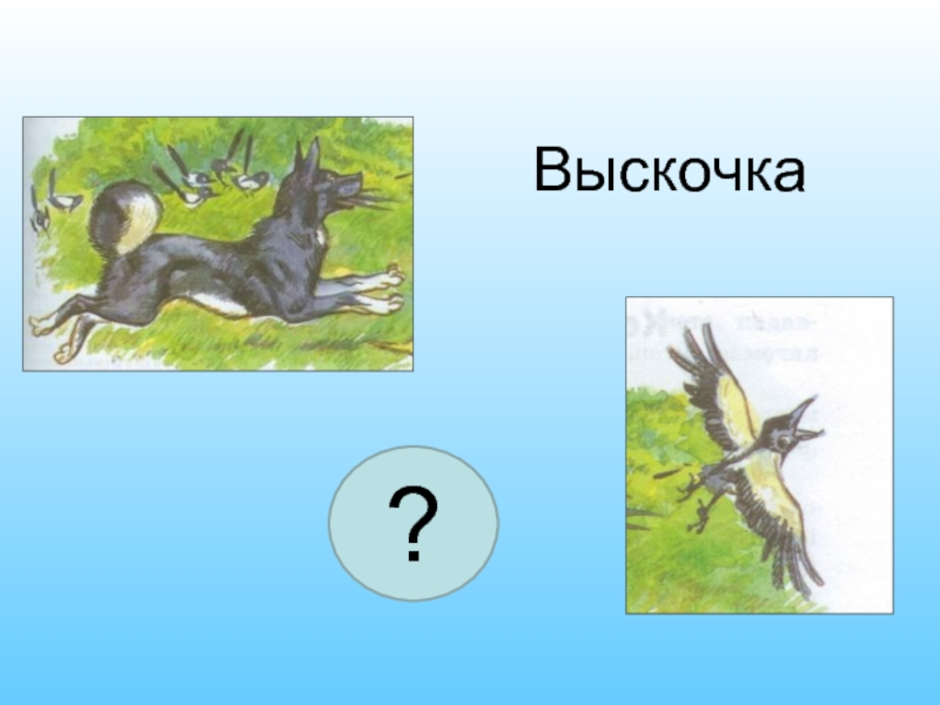 План рассказа выскочка пришвина - граматика и образование на pisanino.ru