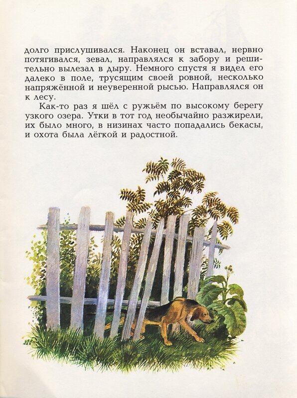 Всероссийский урок чтения - 2011 открытие книги ю.казакова «арктур – гончий пёс» (7 класс) кл.рук. прямикова е.а., учитель суворова г.к. - презентация