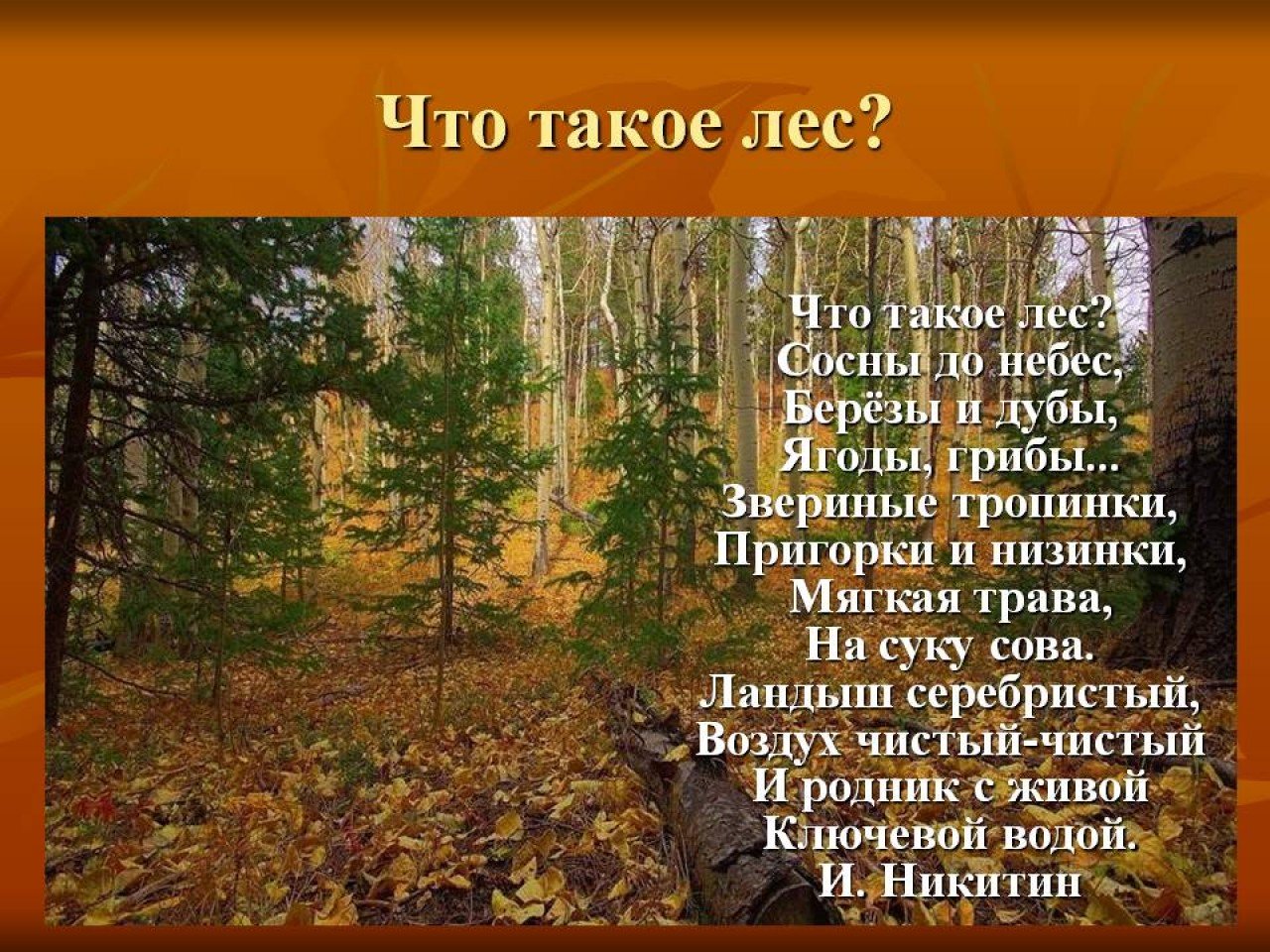 Анализ  стихотворения лес (что, дремучий лес...) | алексей кольцов