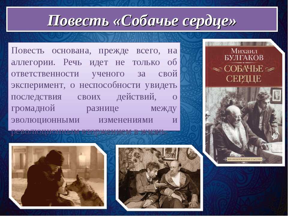 Повесть «собачье сердце» (м.а. булгаков) : анализ, основная тема (мысль), жанр, краткое содержание, цитаты