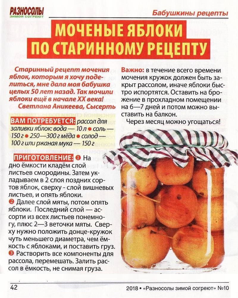 Мочёные яблоки – краткое содержание рассказа солоухина (сюжет произведения)