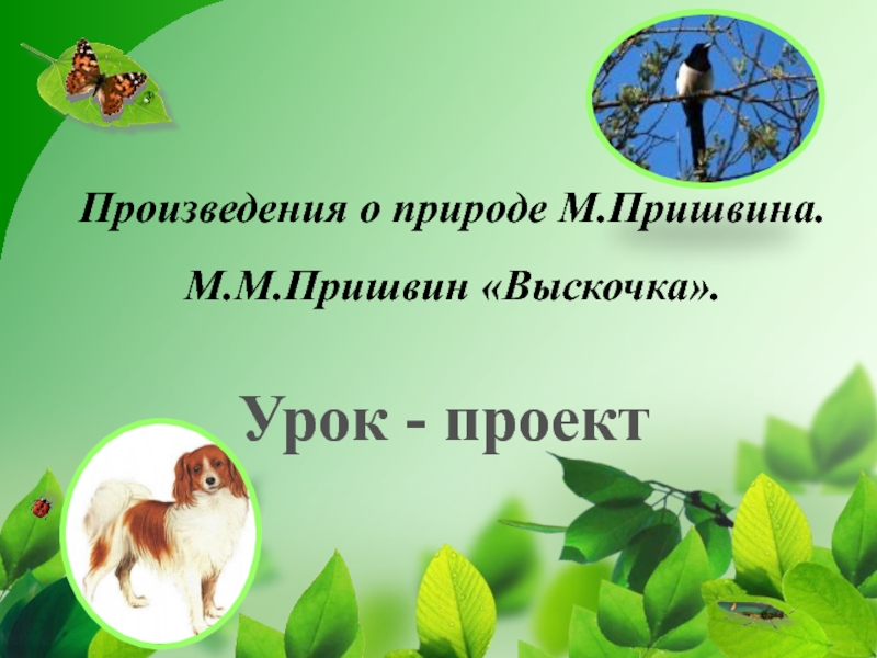 Основная мысль рассказа выскочка