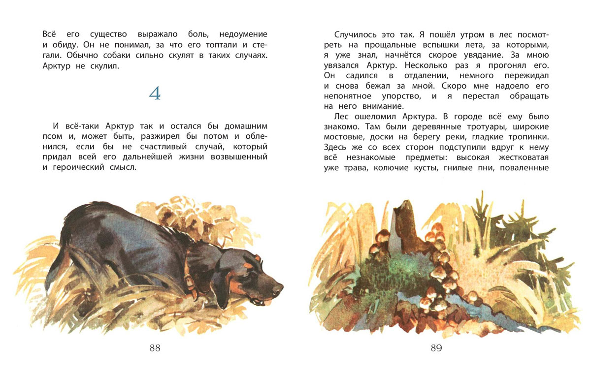 Презентация на тему: "всероссийский урок чтения открытие книги ю.казакова «арктур – гончий пёс» (7 класс) кл.рук. прямикова е.а., учитель суворова г.к.". скачать бесплатно и без регистрации.
