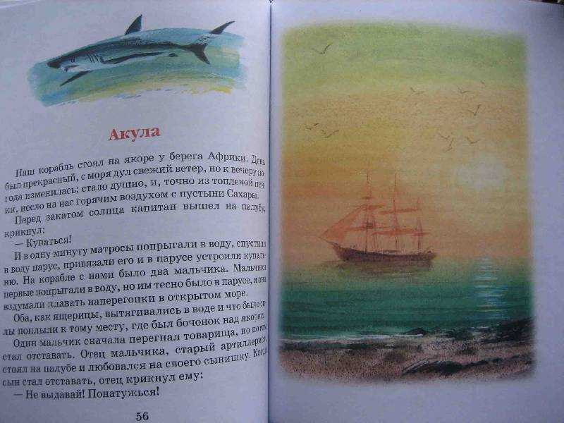 Толстой л. «акула» читательский дневник, краткое содержание