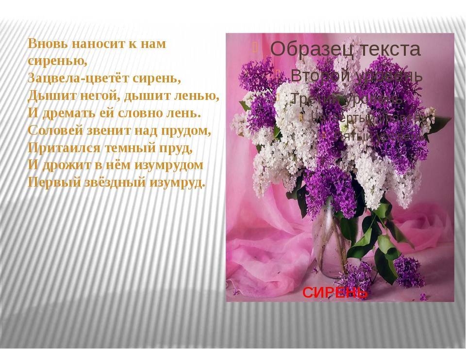 В. рожденственский
