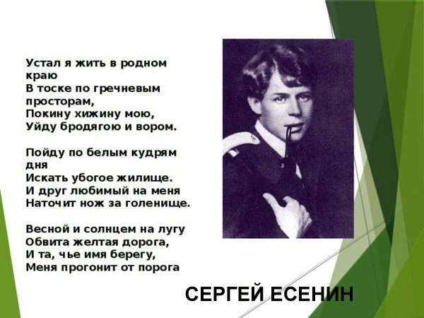 Природа в лирике фета (школьное сочинение) - фет а.а.