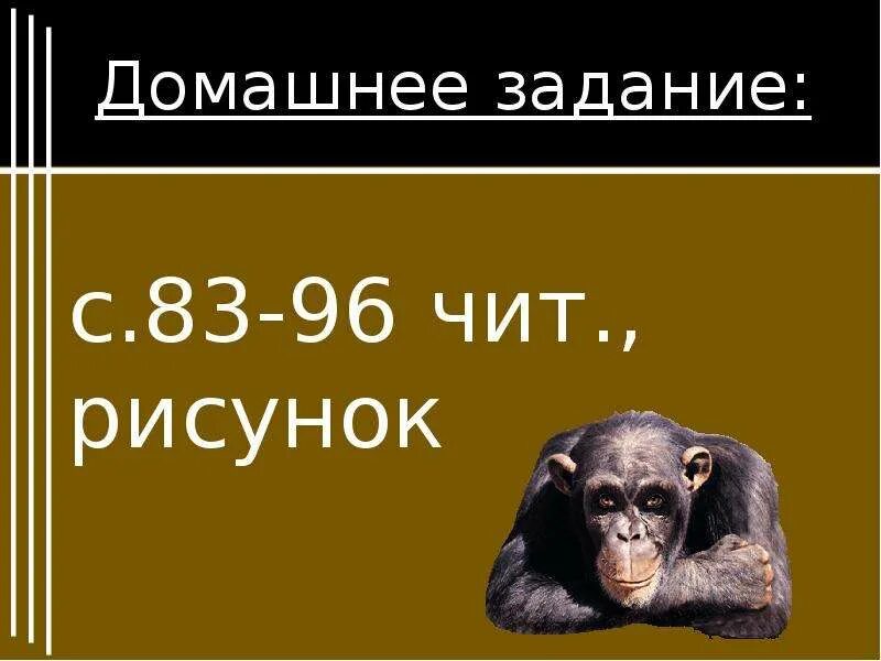 Краткое содержание про обезьянку житков за 2 минуты пересказ сюжета