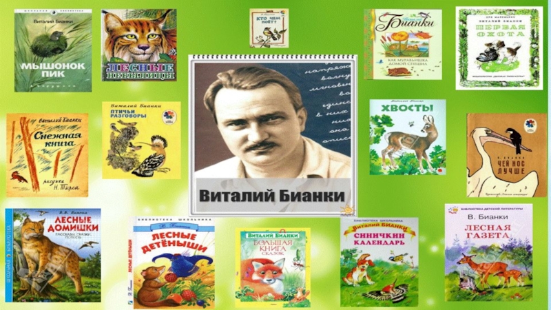 Бианки лесные домишки: главная мысль, герои и содержание