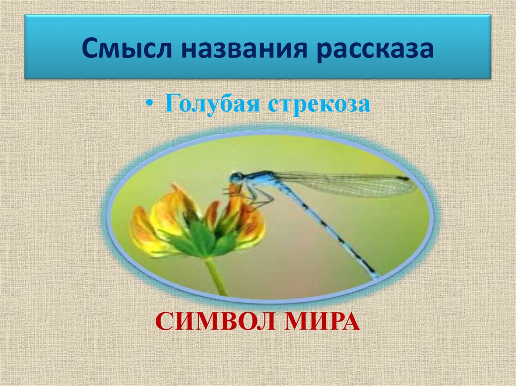М пришвин голубая стрекоза краткое содержание. михаил пришвин - голубая стрекоза