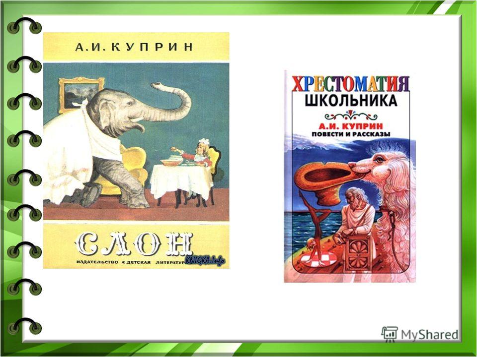 История про обыкновенное чудо — рецензия на книгу а.куприна «слон» с иллюстрациями г.спирина