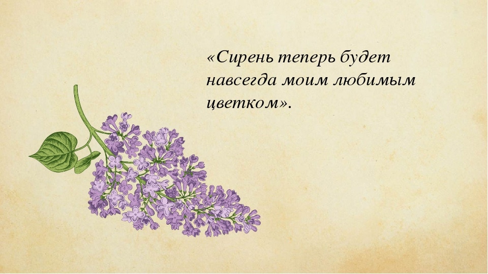 Краткое содержание куст сирени куприн для читательского дневника, читать краткий пересказ онлайн