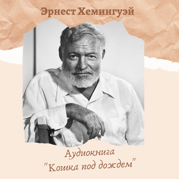 Прочитайте краткое содержание произведения "кошка под дождем" и узнайте моё мнение в читательском дневнике
