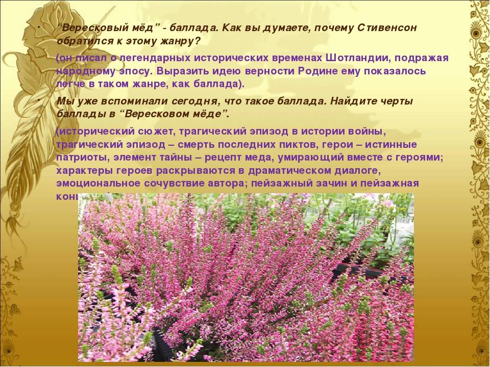 «вересковый мед» читательский дневник. зарубежная литература сокращено