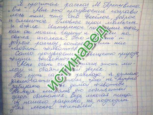 Рассказ «ёж» пришвина: краткое содержание и мнение читателя