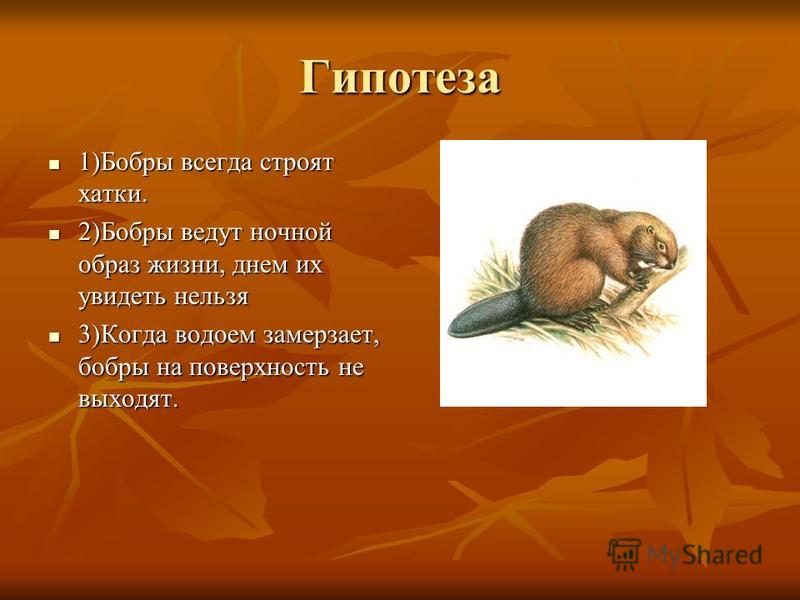 Г я снегирев маленькое чудовище главная мысль. план-конспект урока по чтению (2 класс) на тему: "мир природы в рассказе геннадия снегирёва «маленькое чудовище»